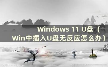 Windows 11 U盘（Win中插入U盘无反应怎么办）